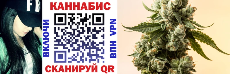 Магазины продажи наркотиков Борзя Гашиш Alpha-PVP Меф Амфетамин Конопля