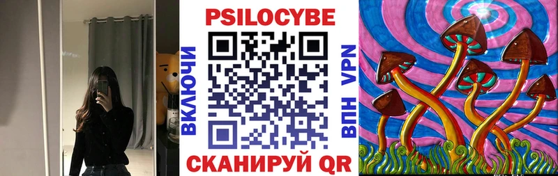 нарко площадка состав  Борзя  Псилоцибиновые грибы мухоморы  где найти наркотики 