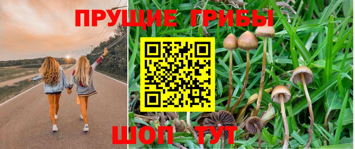 Галлюциногенные грибы ЛСД  Вход с VPN  Борзя 