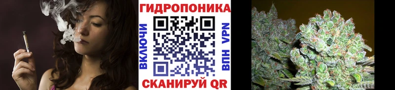 Бошки Шишки гибрид  сайты даркнета формула  Борзя 